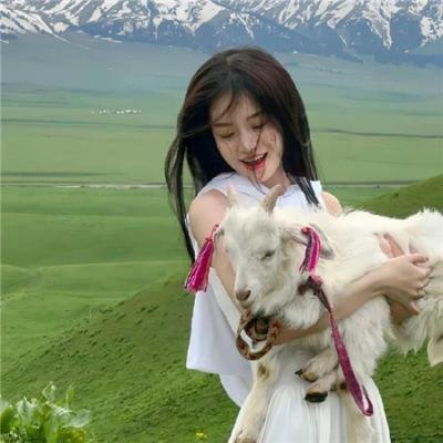 愤怒的小鸟2